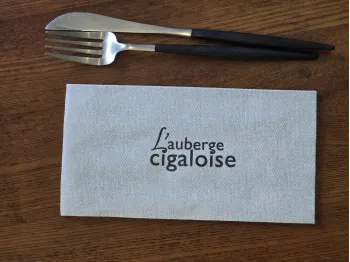 Serviettes spunlace teintée à personnaliser pour restaurant