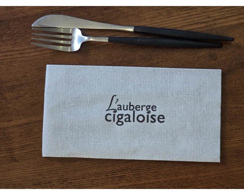 Serviettes spunlace teintée à personnaliser pour restaurant