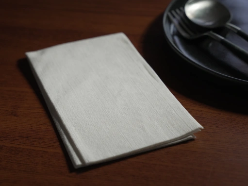 Serviettes en viscolin champagne en 40x40 par 800 : Spunlace